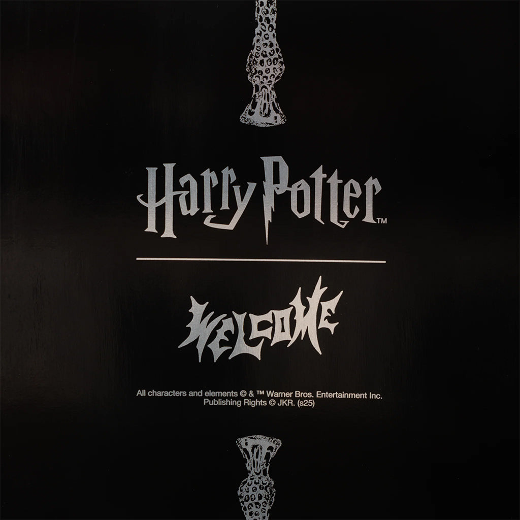 Harry Potter welcome sign with decorative elements on a black background