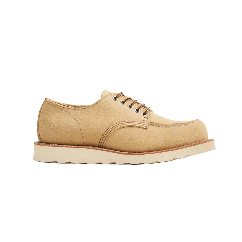 Beige leather shoe on a white background