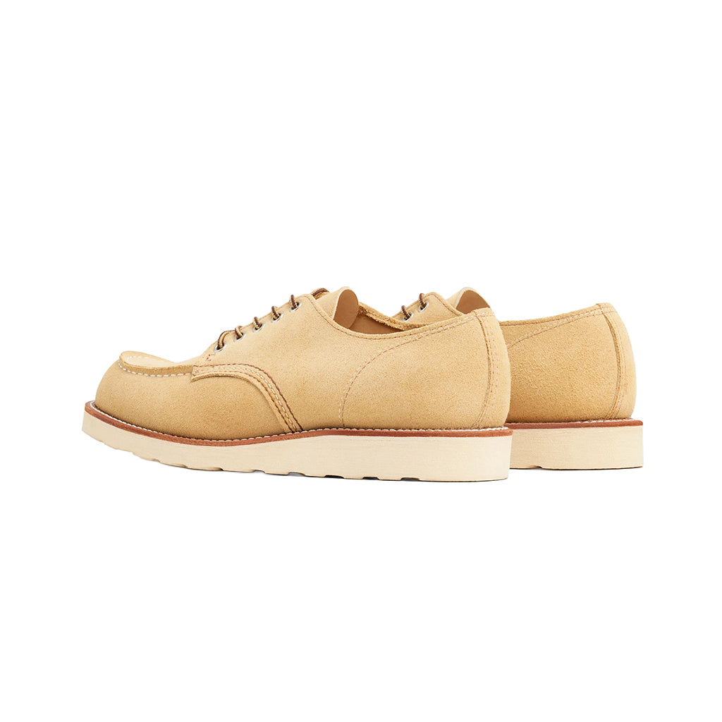 Pair of tan leather shoes on a white background