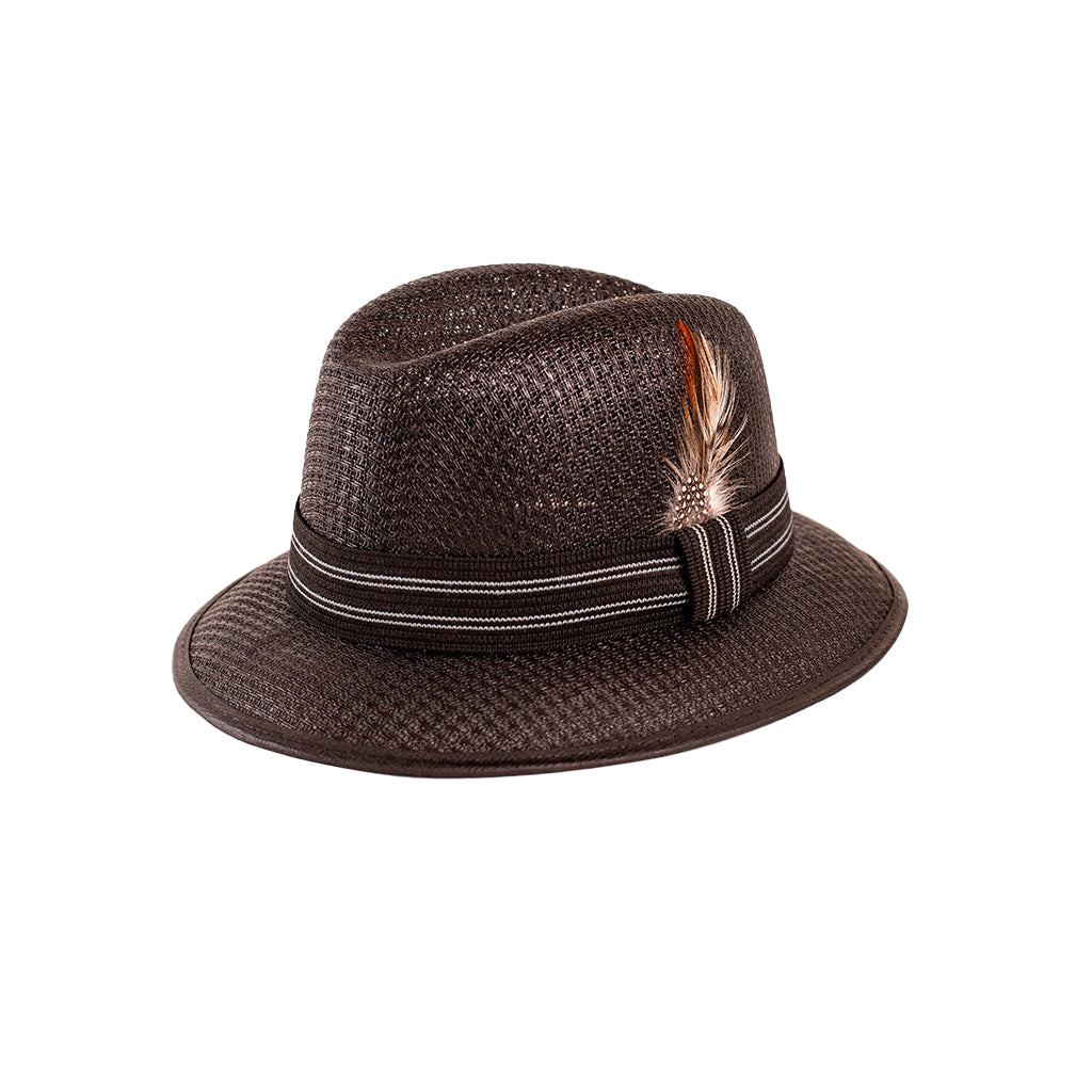 A black Chavez Fedora hat with a band and feather detail on the crown.