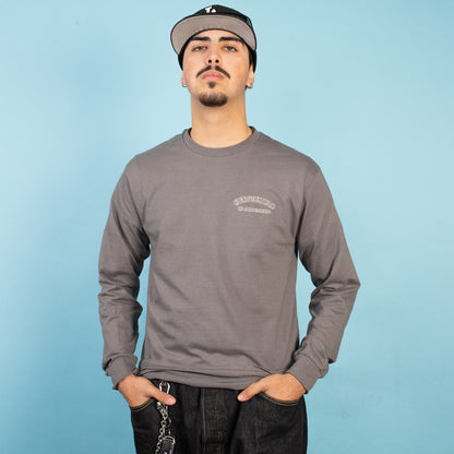 Man wearing a gray long-sleeve shirt with a logo on a light blue background