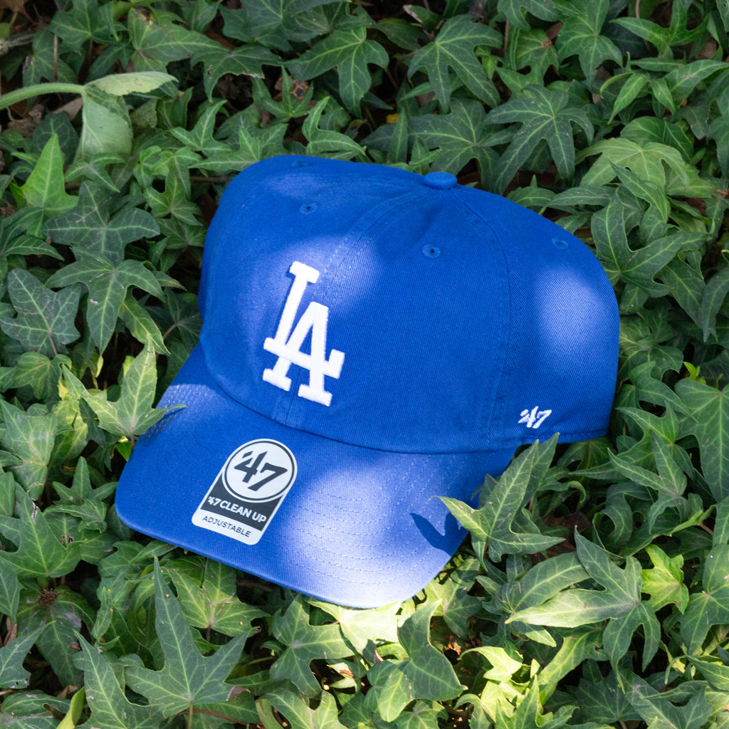 Blue baseball cap with a logo on a bed of green leaves