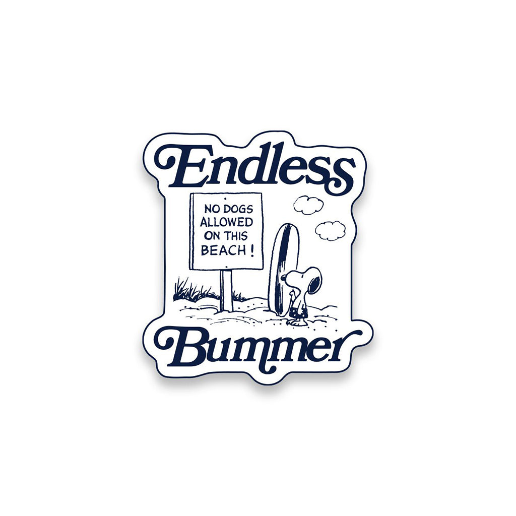 'Endless Bummer' pin text and beach scene design on a white background