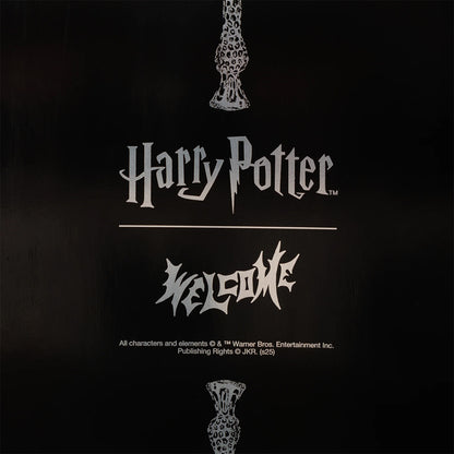 Harry Potter welcome sign with decorative elements on a black background