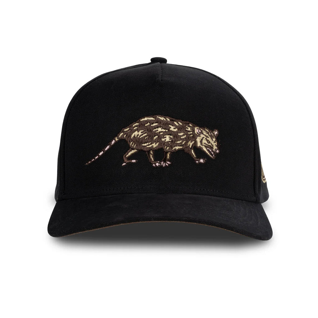 Black cap with a gold Opossum design on a white background