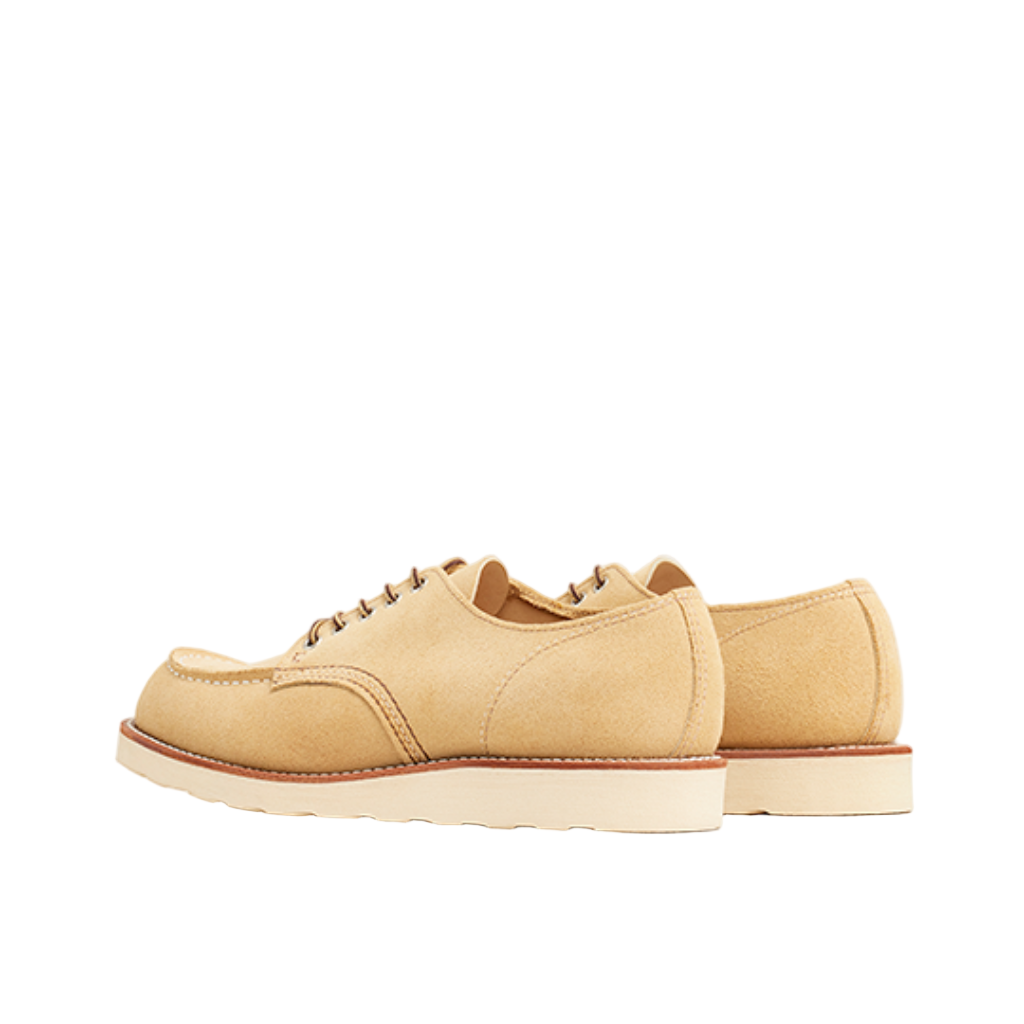 Pair of tan shoes on a white background