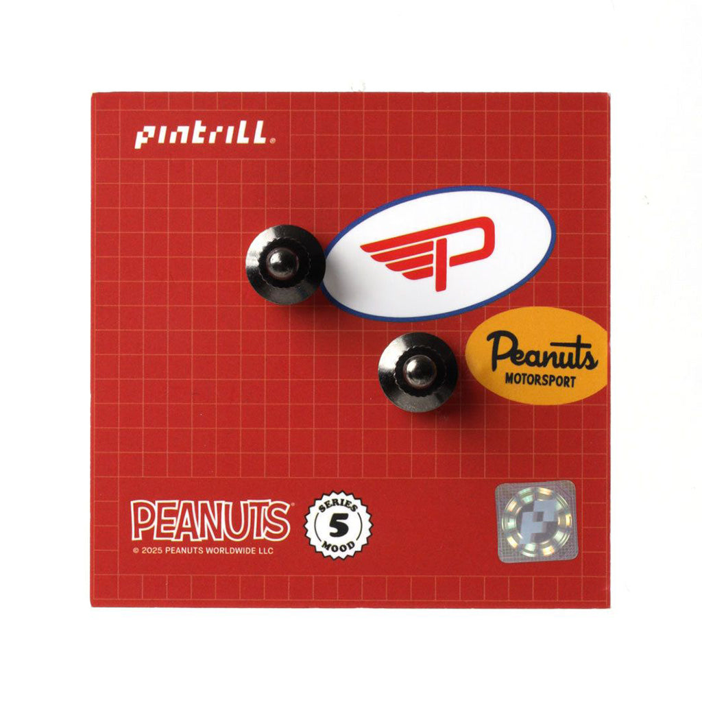 Set of Peanuts pins on a red grid background
