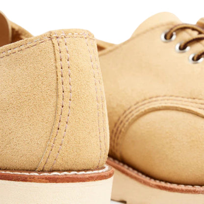 Close-up of beige suede shoes with brown accents on a white background